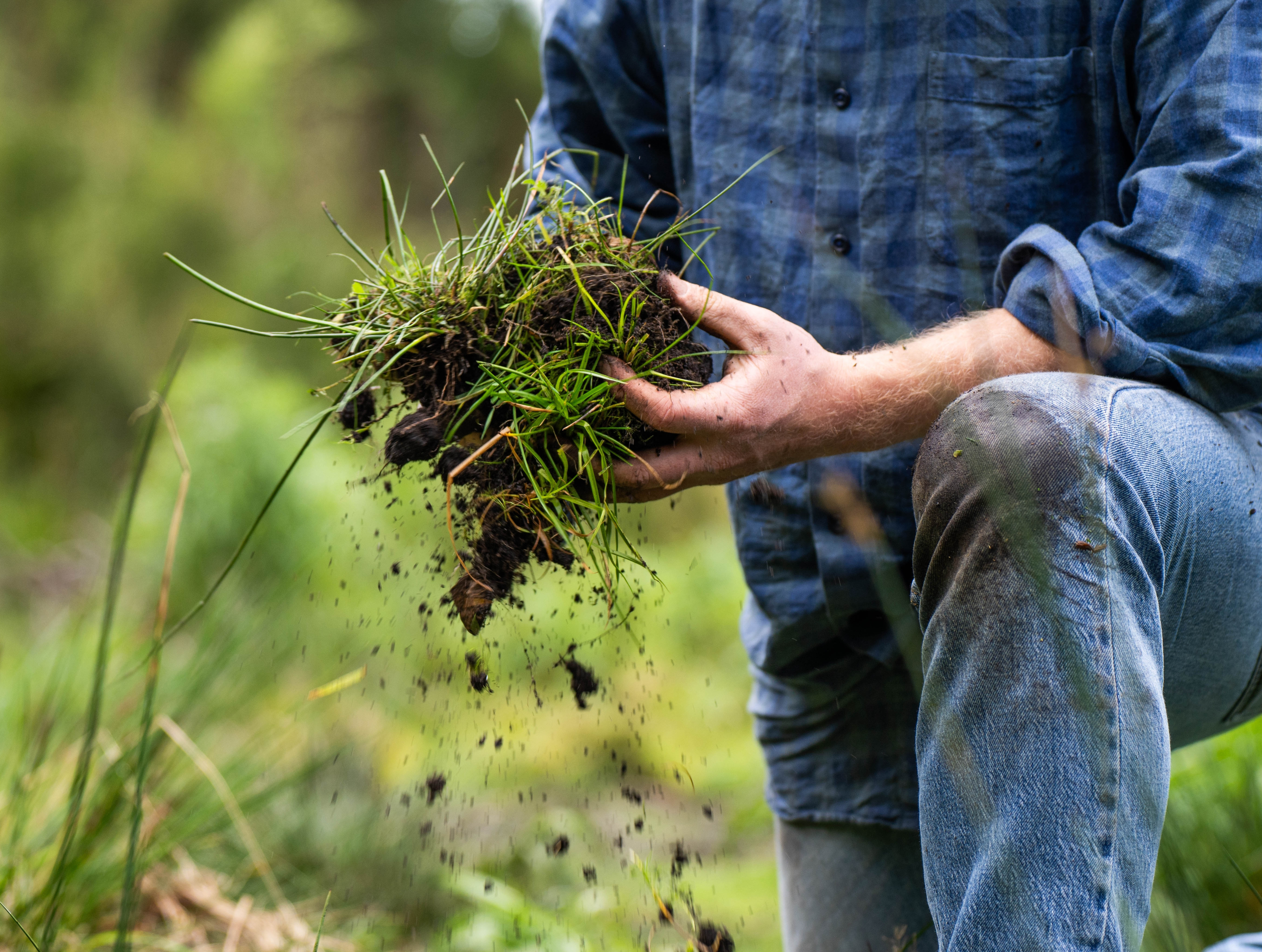 UK takes the lead in agri-tech with new Precision Breeding legislation coming into force Image
