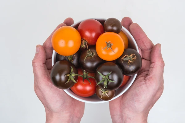 Building a sector for the future: How can we release the potential of Agri-Tech in the UK? Image