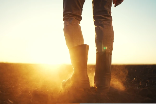 BOFIN calls on farmers to join Defra funded innovation projects Image