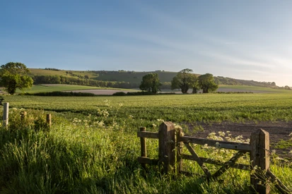 Agri-tech and precision breeding included in the 2025 Modern Industrial Strategy Image